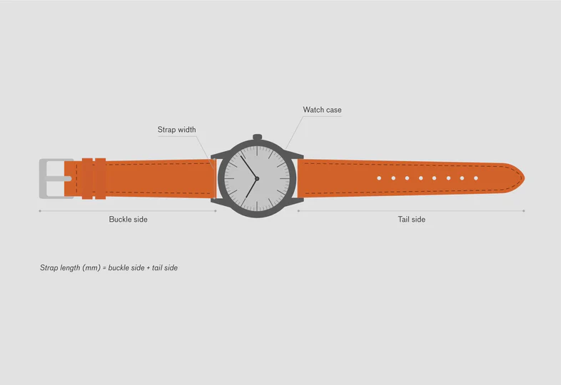 Watch Size Guide for Female and Male Wrists: Finding the Perfect Fit