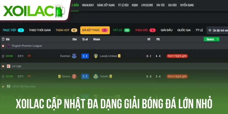 Xoilac cập nhật đa dạng giải bóng đá lớn nhỏ