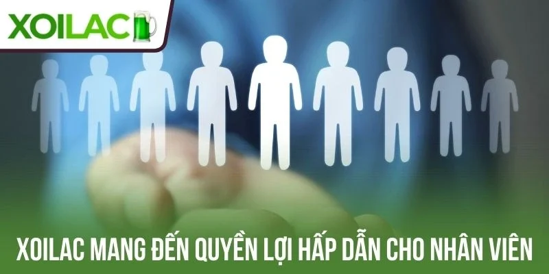 Xoilac mang đến quyền lợi hấp dẫn cho nhân viên