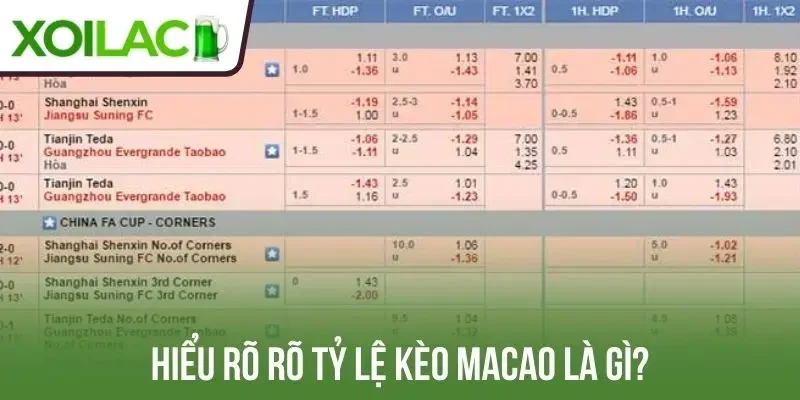 Hiểu rõ rõ tỷ lệ kèo Macao là gì?
