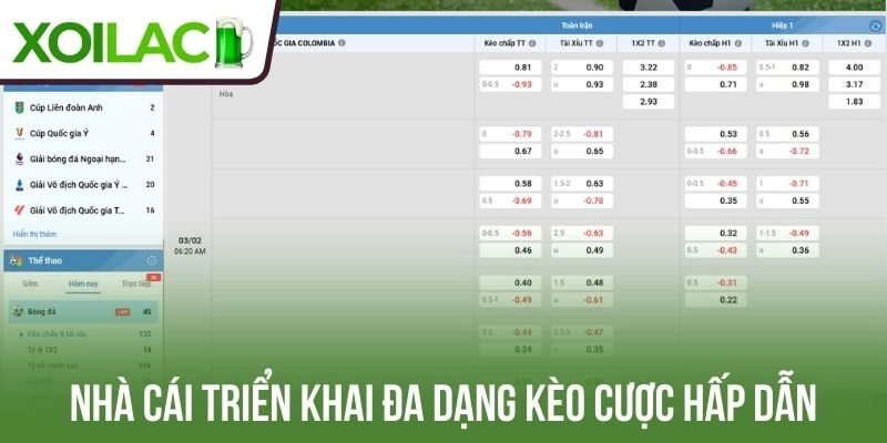 Nhà cái tri ân hội viên bằng nhiều ưu đãi hot